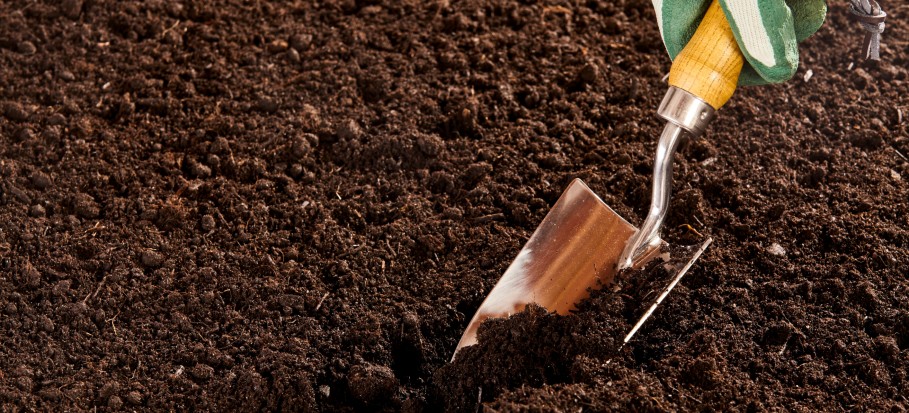 How To Prepare Soil For Planting - How To Prepare Soil For Gardens How To Prepare Soil For Planting - How To Prepare Soil For Gardens
